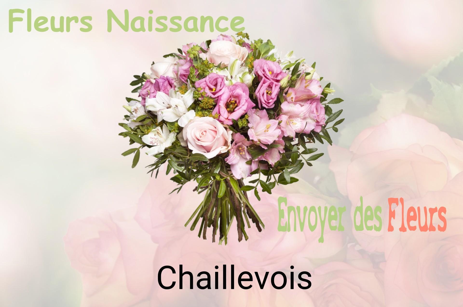 Bouquet de fleurs de naissance livré à Chaillevois